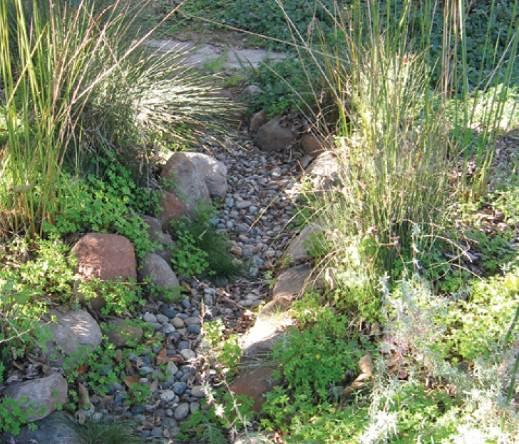 Dry creek infiltrates and conveys runoff. If you are interested in capturing and storing water for irrigation use, see the Rain Barrel fact sheet in this series.