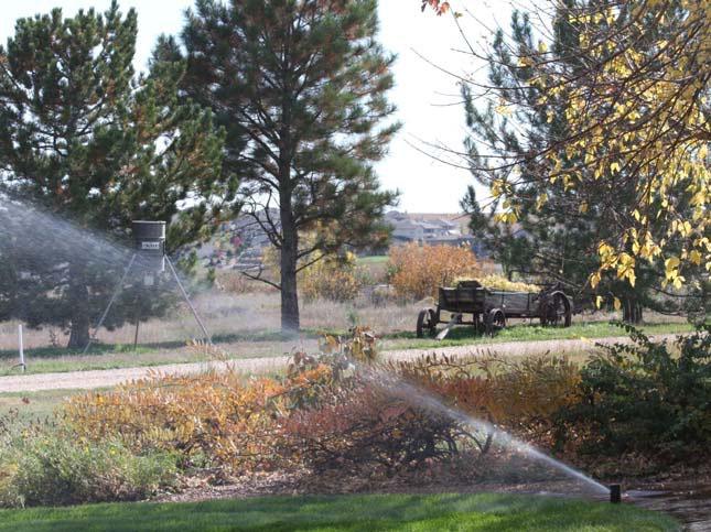 However, there are characteristics that, especially when married up with the landscape irrigation system, provide the desirable flexibility for drought response.