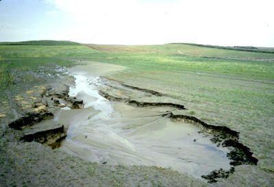 Types of Erosion - 1) Sheet Erosion