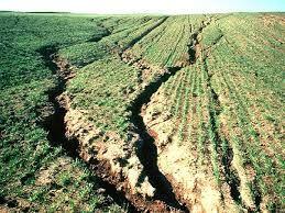 Types of Erosion - 2) Rill Erosion -