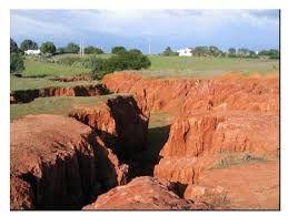 Types of Erosion - 3) Gully