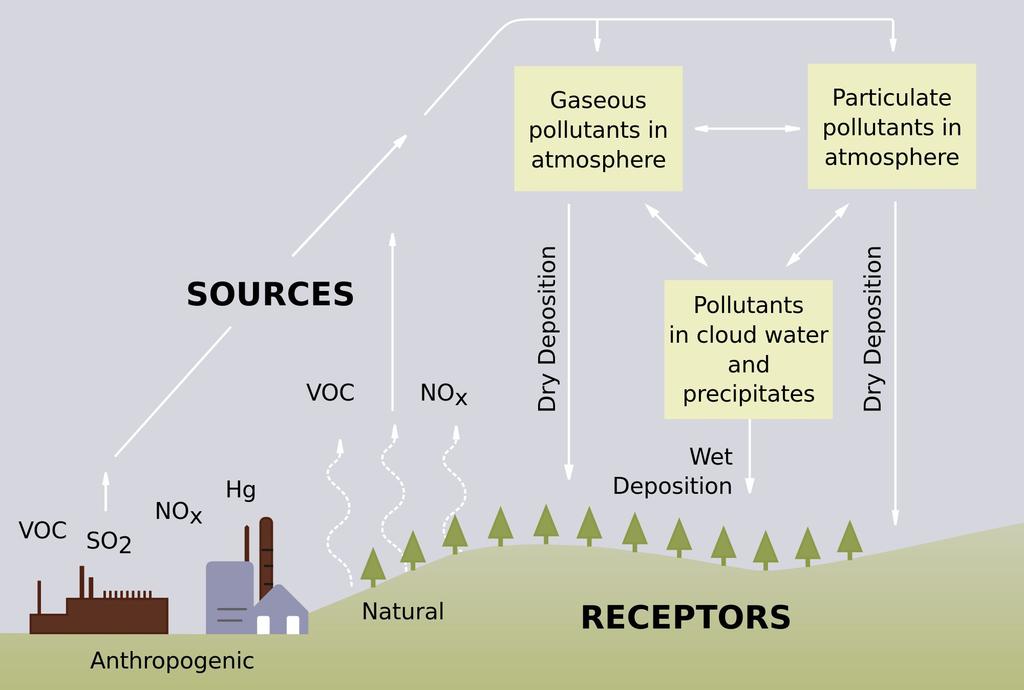 Acid Deposition ( Acid Rain ) Emissions of sulfur and nitrogen compounds are