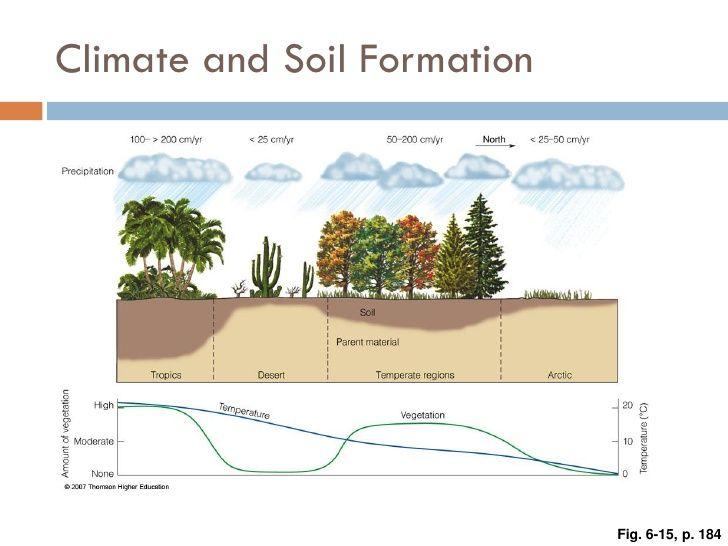 Soil formation - Factors that determine it - 2) Climate - type of climate influences what soil will form( (wind, precipitation/humidity temperature are all part of this) Examples - high latitude