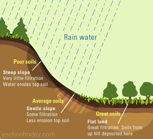 Soil formation - Factors that determine it - 3) Topography - the surface and slope (basically, the landscape).
