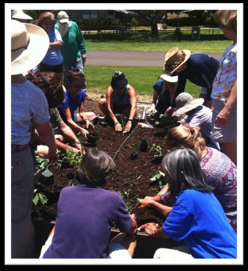 O ahu Master Gardeners School Garden Mini-Certification 6 Trainings to build confidence & community 5 Hours