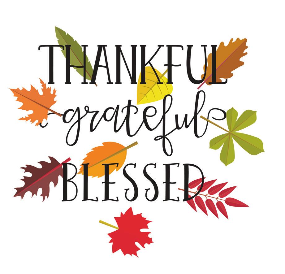 PLUGGED IN WE RE THANKFUL FOR YOUR MEMBERSHIP Your Touchstone Energy Partner By Michael Schaefer, President/CEO Feeling gratitude and not expressing it is like wrapping a present and not giving it.