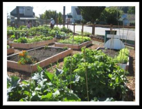 Community garden without gardeners is just a vacant lot.