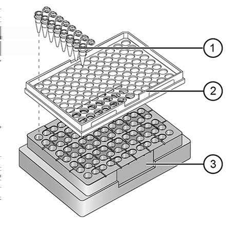 Prepare samples using MicroAmp tubes/tube strips with separate cap strips. Separate the blue tray and retainer by squeezing the release catch as indicated in the graphic.