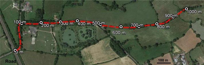 (~5 km/h) Record bat activity at 10 min stationary spot checks at 100 m
