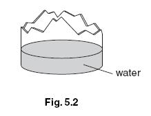 (b) Also in the waste basket is a broken glass bottle containing a small quantity of water, as shown in Fig. 5.2. As the Sun shines on it, the volume of water slowly decreases.