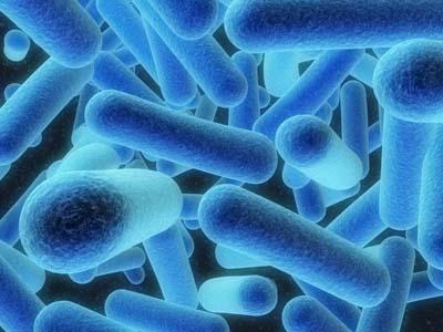 Common Plumbing Elements For Hospitals Legionella in hot water systems Provide provisions to limit the amount of legionella bacteria or opportunistic waterborne pathogens