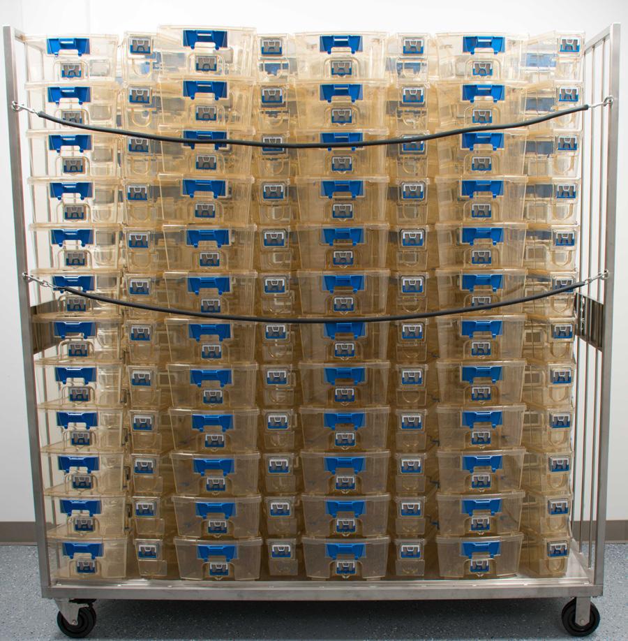 Preparing Bottles All bottle-filler manufacturers supply manifolds that are compatible with Animal Care Systems water bottle baskets.