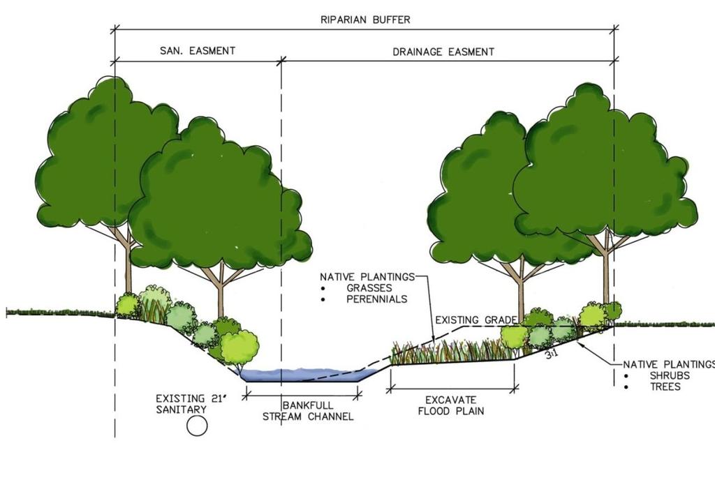 Floodplain Restoration in Narrow Stream Easement Stream Restoration for Flood Relief, and