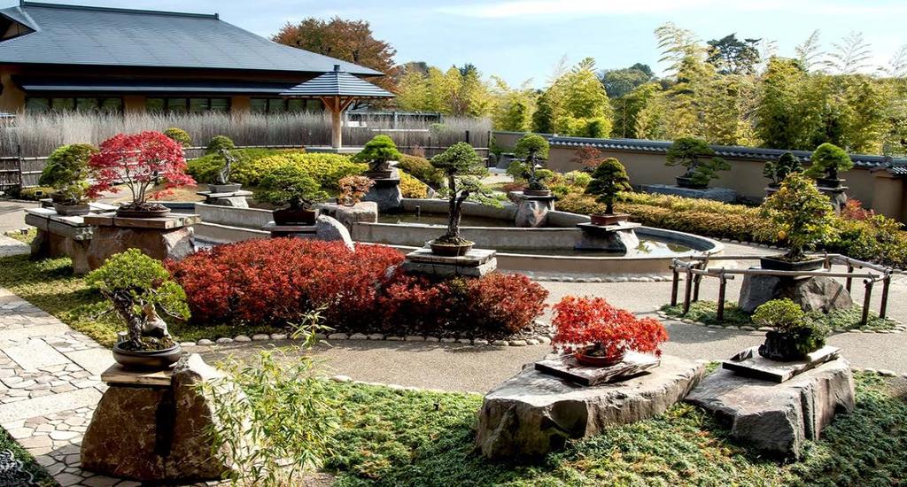 From Omiya to the World: Transmitting the Attractions of Bonsai ---The Omiya Bonsai Art Museum, Saitama--- Bonsai Garden (This article was written by Ms.