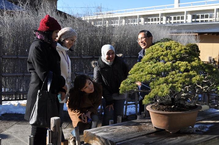 Bonsai as an International Bridge of Friendship Together with the spread of bonsai culture around the world, the number of foreign visitors to the museum is increasing year by year.