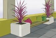 . Feature-tree in raised planter, with lower plants and ground-cover plants.