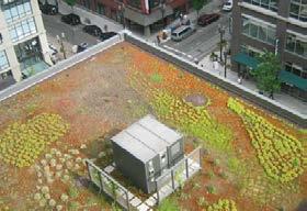 DESIGN GUIDELINES Incorporate features for stormwater management in new development, such as green roofs, bio-retention and biofiltration facilities, and infiltration capacity (DG-112 through DG-115).