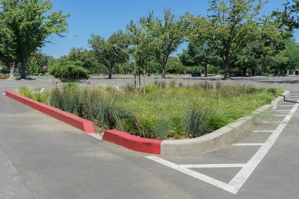 Retrofitting Sacramento State Campus with Low Impact Development Stormwater Control Measures: A