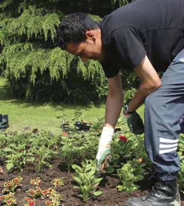 2010 Further Education Prospectus EDEXCEL (BTEC) National Diploma Horticulture This course is made up of 18 Level 3 units and will provide you with the opportunity to gain an advanced level