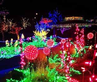 the Sugar Plum Furries, live caroling groups, and warm drinks help to make The Gardens a