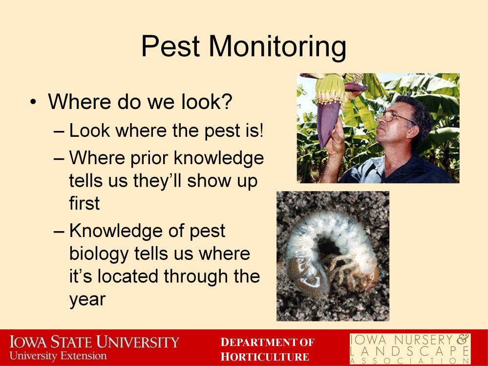 It is easy to say look where the pest is, but that can be a hard part of