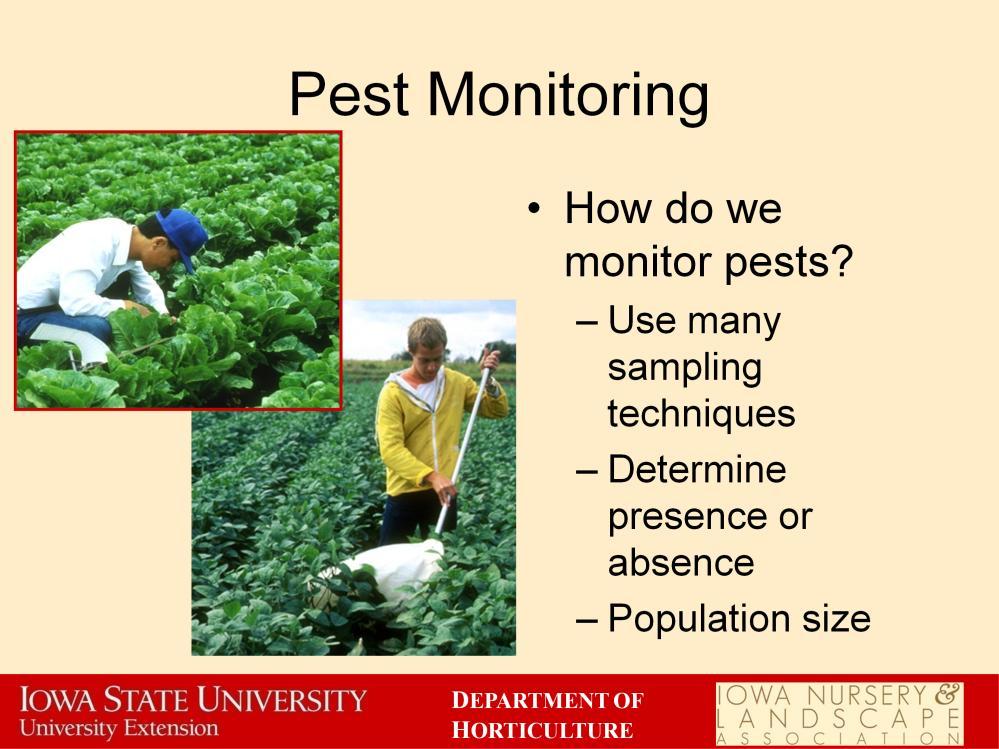 How we monitor a pest sort of depends on what sort of situation you are in and what sort of pests you are monitoring.