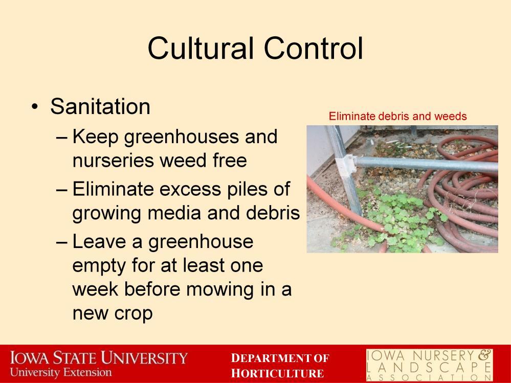One of the most important cultural controls we can use is sanitation. Greenhouses and nurseries should be kept free of weeds, which can harbor diseases and insects.