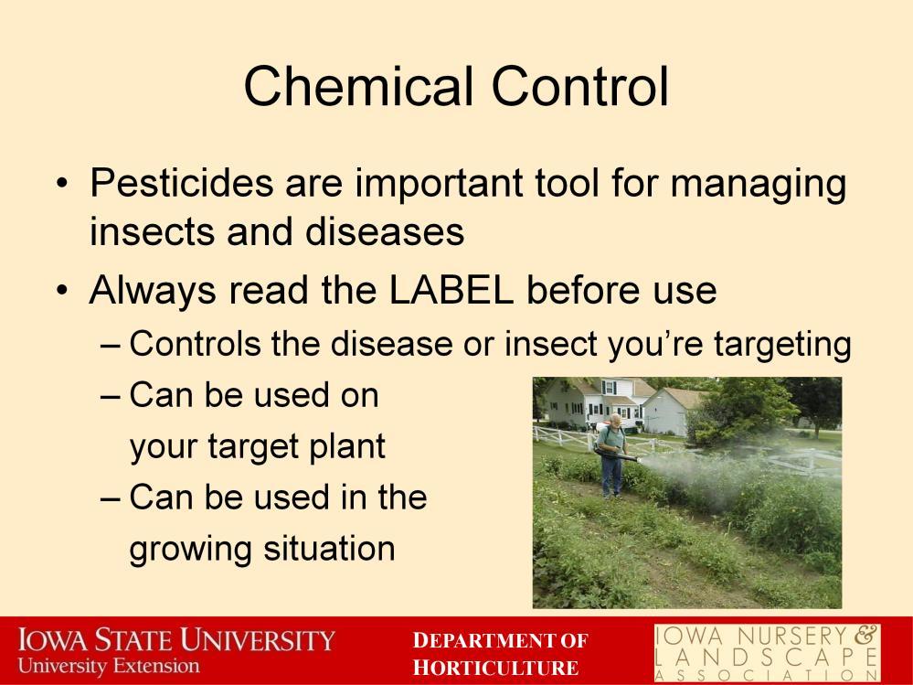 Chemical controls are often used to prevent disease outbreak and keep insect pest populations down. They are an important management tactic in an integrated pest management approach.