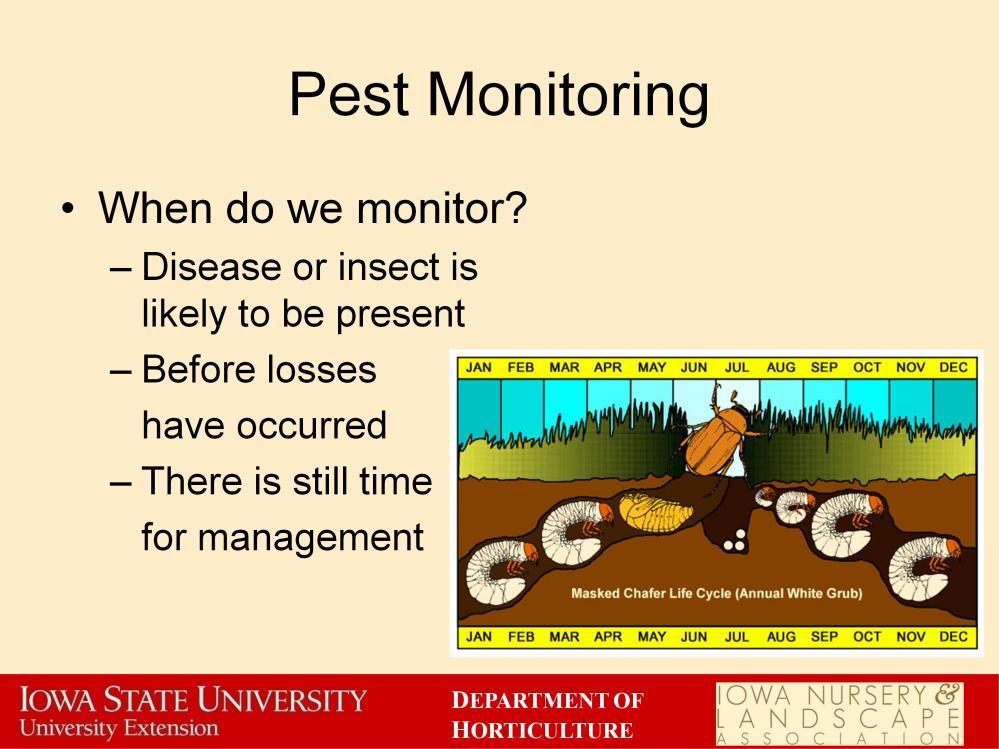 So when should you begin monitoring for pests? Basically whenever you have plants growing.