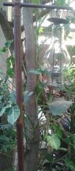 Garden Lamp: Decorative Garden Lamp