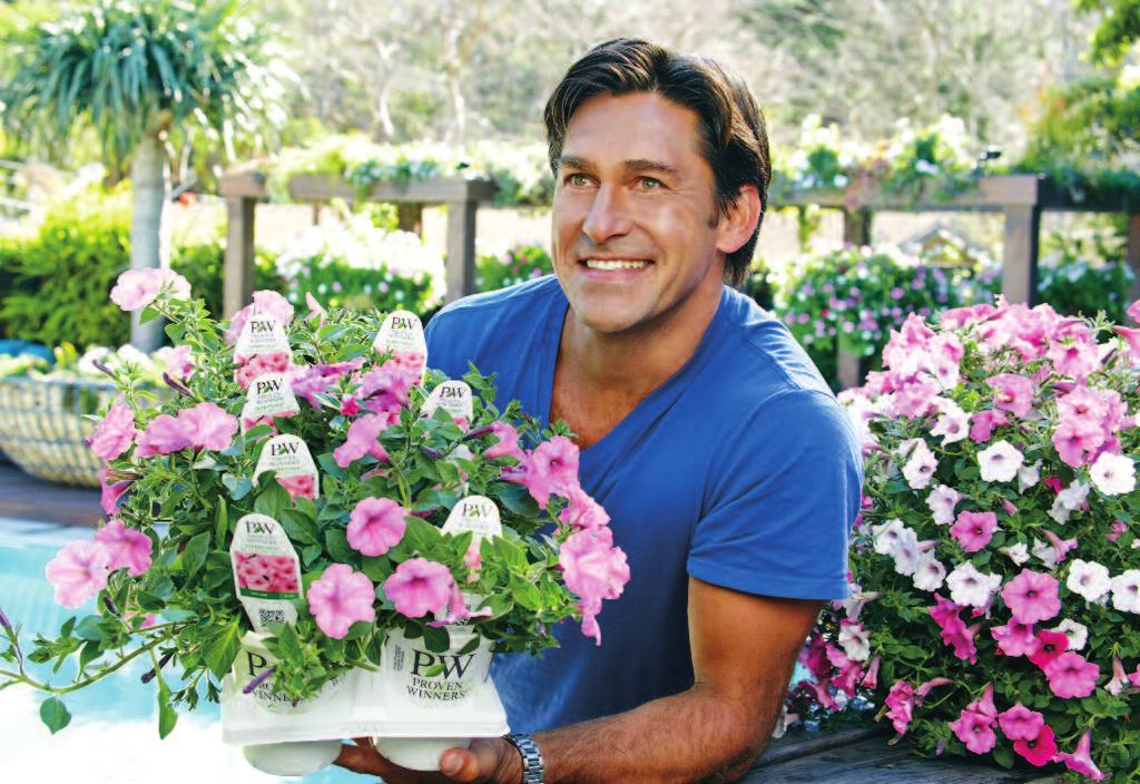 Making Supertunia a Household Name Gardening Expert Jamie Durie Promotes the Best Petunia Period Our research shows that the petunia is the most consumer-researched plant behind the hydrangea.
