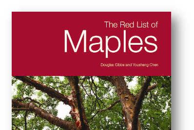 Red List of Maples RDL Category No.