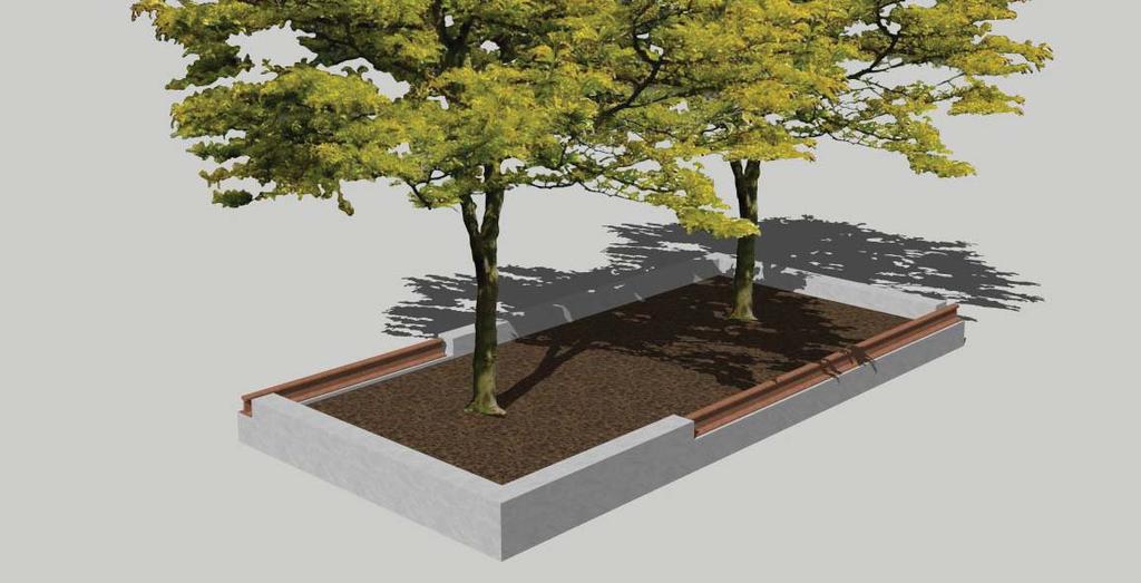 We will use tree guards, a root cell system for