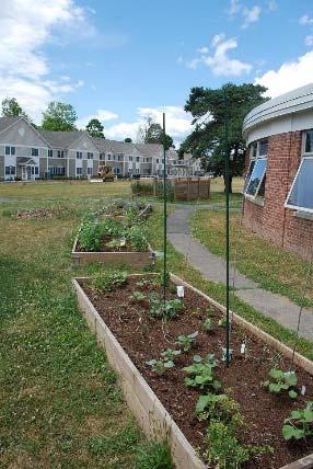 Support School Gardens Generated a Report on Barriers to Food Gardens on School Properties Supported installment of 11 school gardens, including meeting