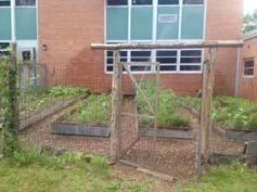 School Wellness Policy: Language The KCSD s Wellness Committee acknowledges the importance of school gardens and strongly recommends these guidelines for school principals: Facilitate the