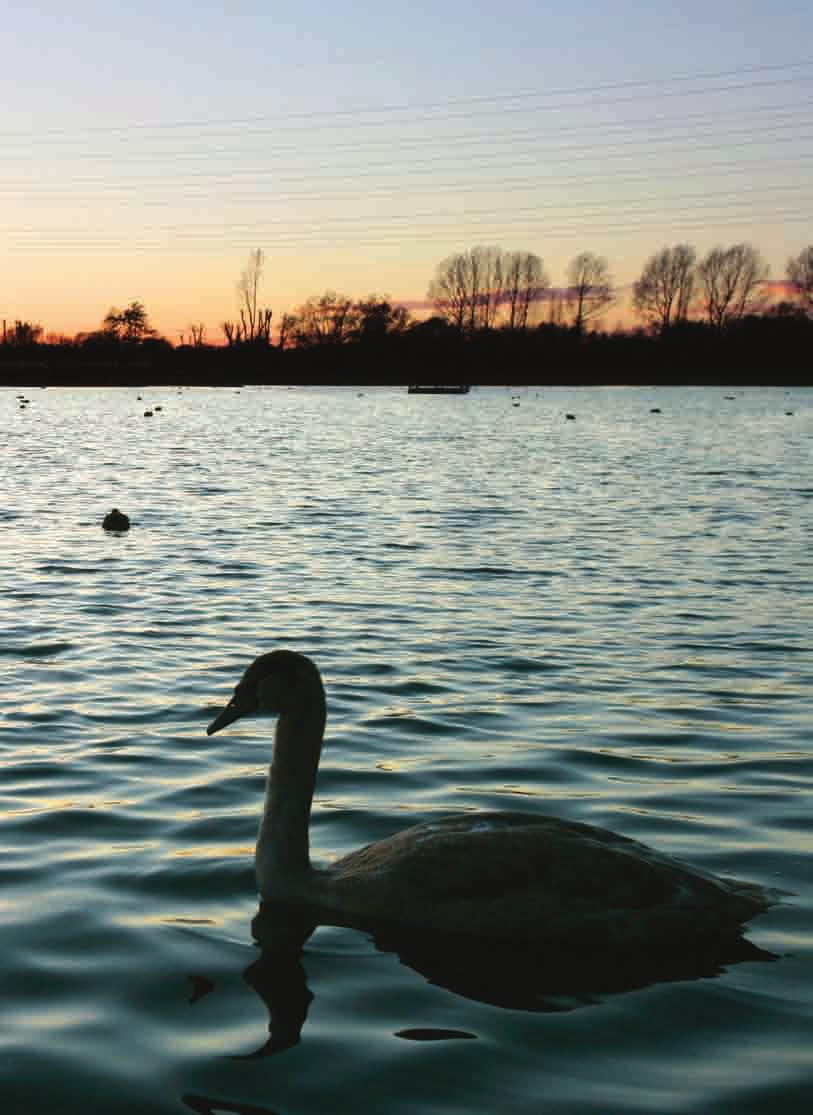 Our vision for the future: Lee Valley Regional Park A world class leisure