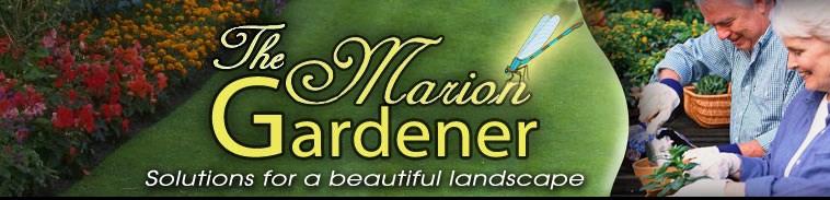 MARION COUNTY GOVERNMNT Table of Contents: The Plant It and Forget It Approach to Winter Gardening FFL Principle # 2: Watering Efficiently Argentine Wonder Grass Timely Gardening Tips for Marion