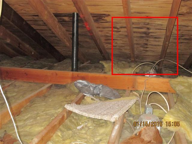4.5 Item 5(Picture) (2) There are signs of a nest in the attic.