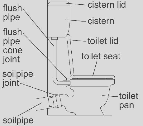 TOILETS WHAT YOU MUST DO It is your responsibility to replace toilet seats Try to clear blocked toilets.