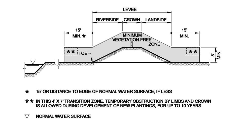 Figure 3: Levee Section Basic, with Floodwall on