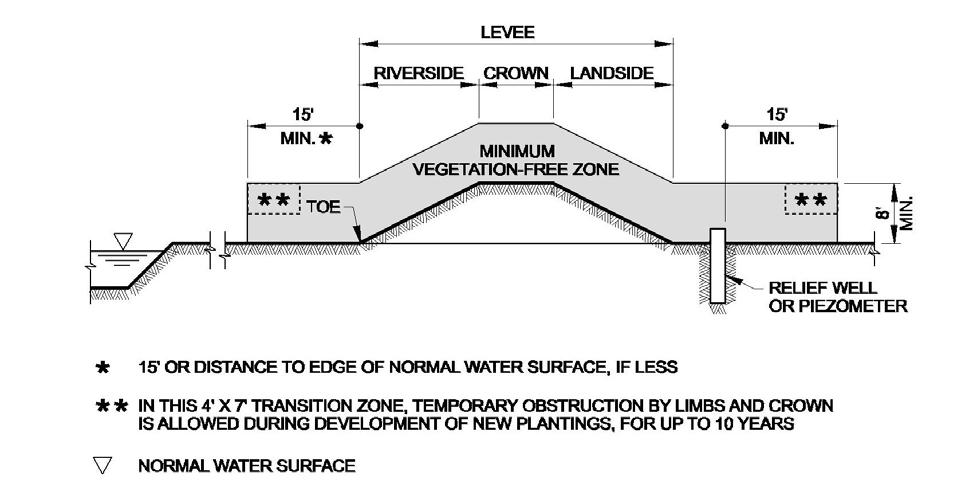Figure 7: Levee Section with Relief