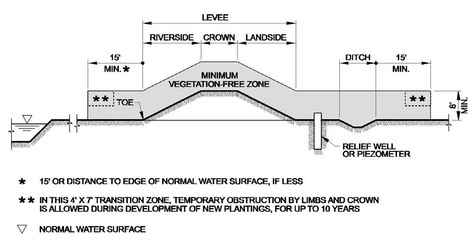 Figure 8: Levee Section with Relief