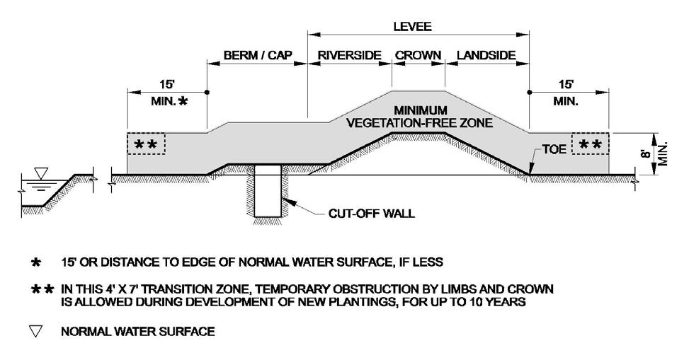 Figure 11: Levee Section with Cut-Off Wall and Impervious Berm.