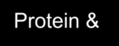 Shelf Life Protein &