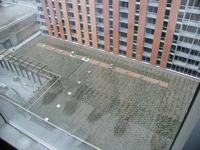University Square Green Roof ~ 0.