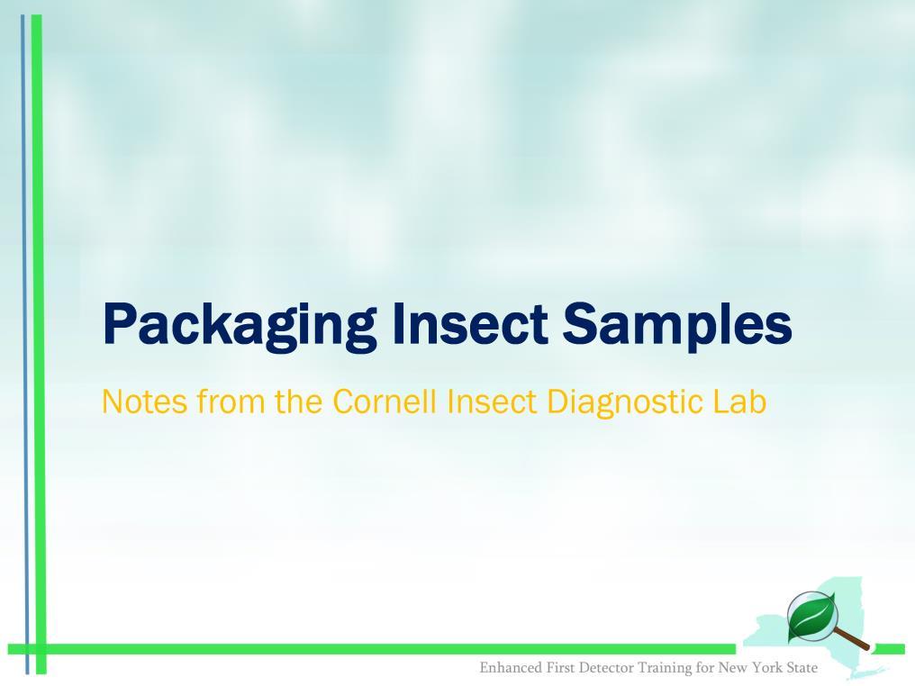 There are different methods for submitting insect samples for identification.