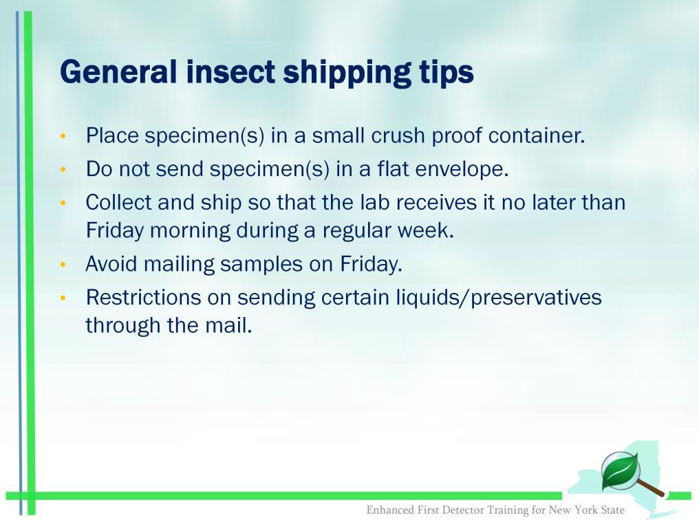 Like plant disease samples, there are some general guidelines for shipping insect samples that should help ensure your sample arrives in good condition.