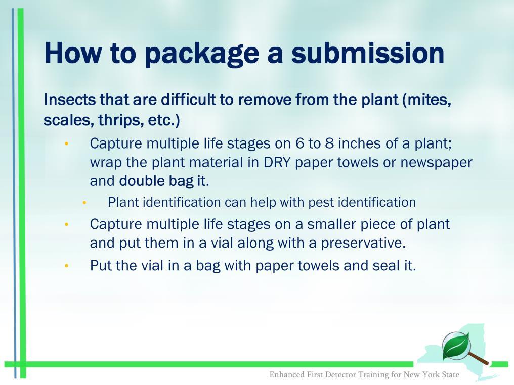 In this slide, we cover how to submit a sample of an insect (or arthropod) that is difficult to remove from the plant.