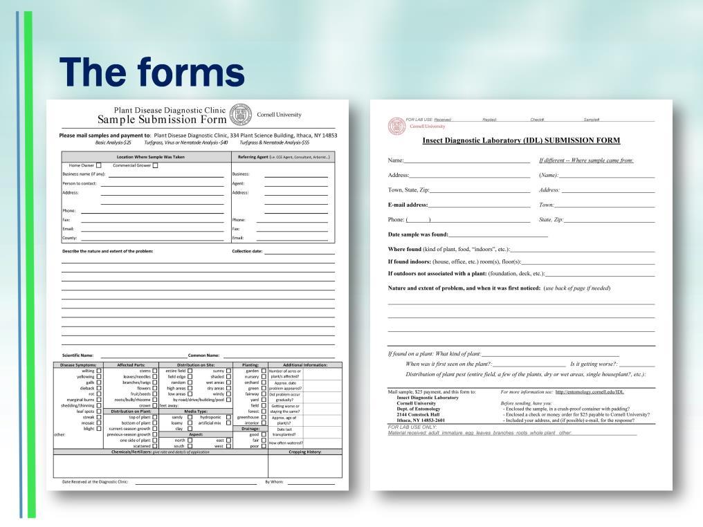 Regardless of whether the sample is an insect or pathogen you need to include a sample submission form. These are the sample submission forms. You received two of each in your folder.
