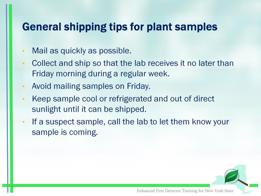 Mail living plant tissue as quickly as possible and send early in the week to